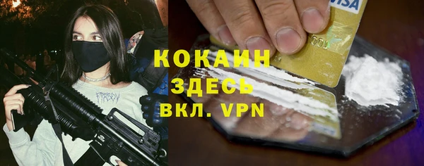 крисы Ельня