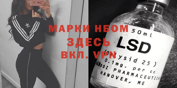 PSILOCYBIN Елабуга