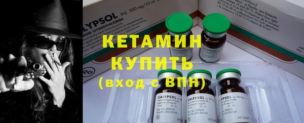 твердый Дмитров