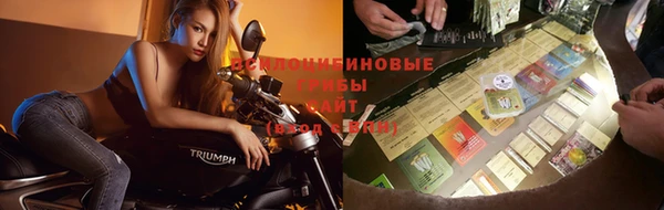 твердый Дмитров