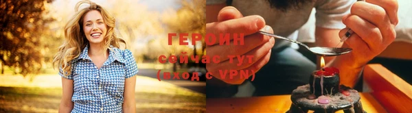 твердый Дмитров