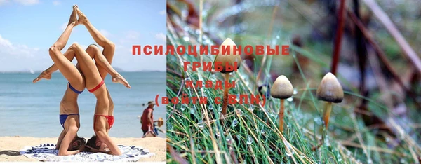 mdpv Заволжск