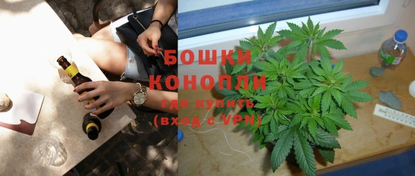 крисы Ельня